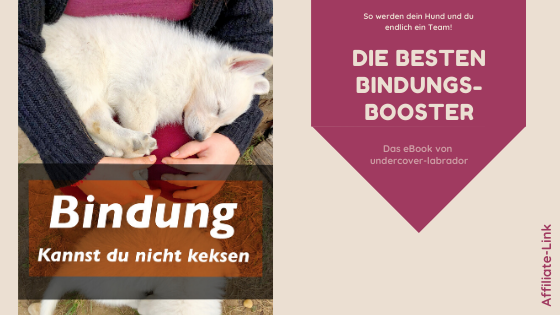 Bindung kannst du nicht keksen | Rezension | Werbung | kleinstadthunde.de