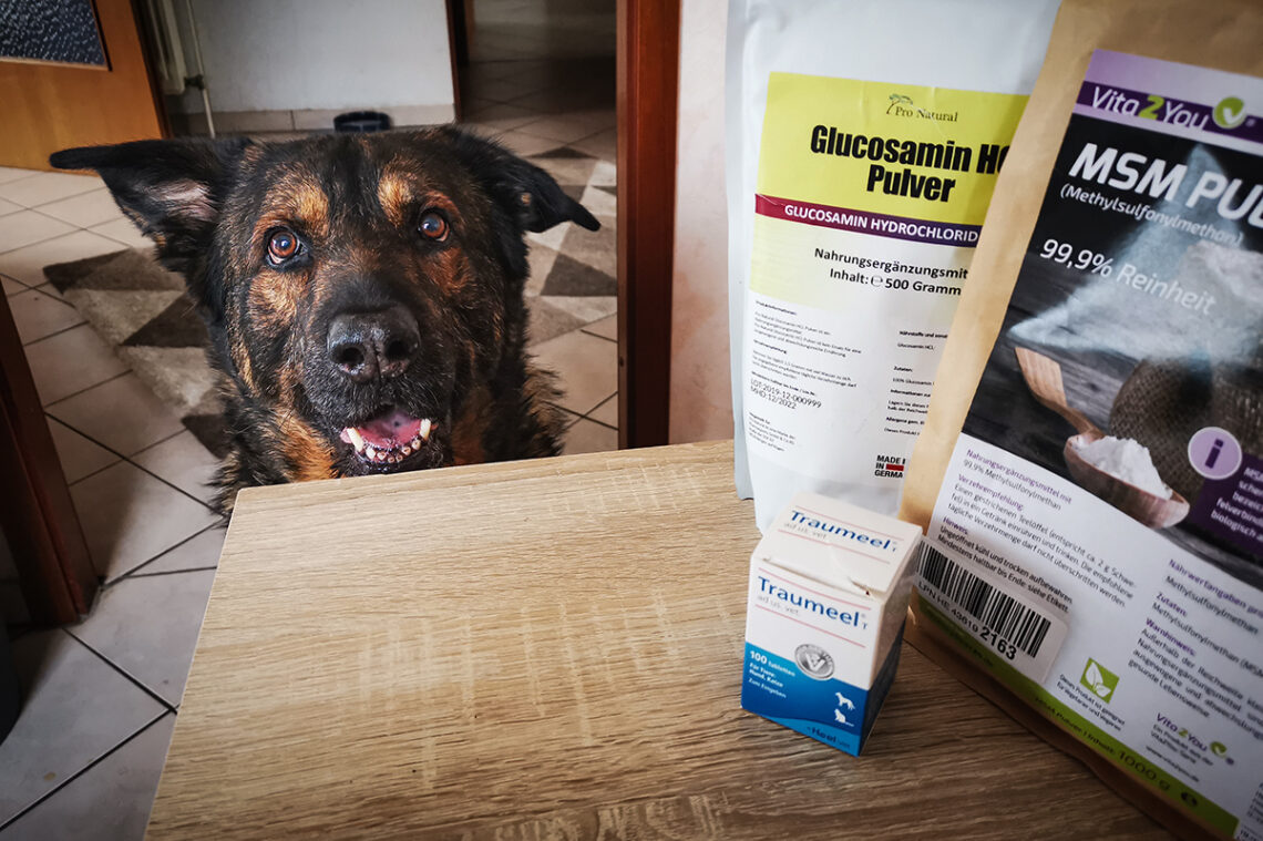 Athrose Hund | Nahrungsergänzung | kleinstadthunde.de