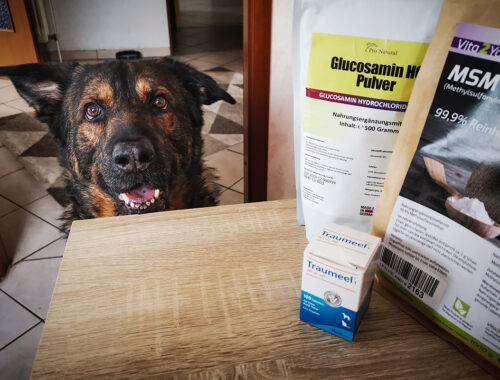 Athrose Hund | Nahrungsergänzung | kleinstadthunde.de