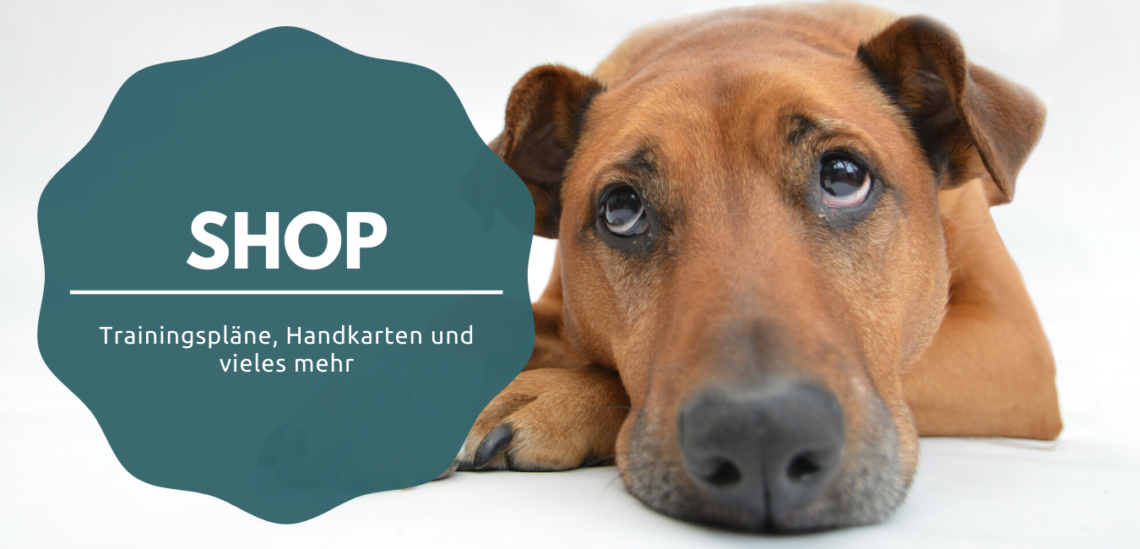 shop kleinstadthunde.de