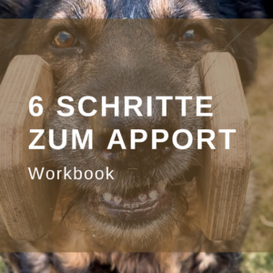 6 Schritte zum Apport | Obedience | Workbook | Wie bringe ich meinen Hund das Apportieren bei? | kleinstadthunde.de